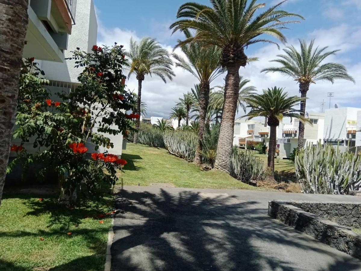 Bonito Apartamento De 1 Habitacion أرونا المظهر الخارجي الصورة